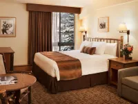 Stonebridge Inn Hotels in Pitkin County