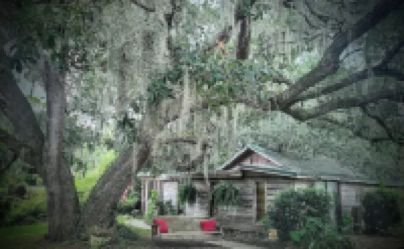 Charming Unique Cabin:The Little House in the Inlet!