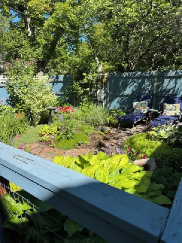 Cozy 1-bedroom Apt in Missoula.  Walking distance to the University and downtown