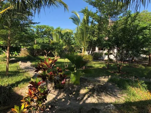 Tantaruga s Eden the hidden peace of heaven and tranquility Hotels in Bwejuu