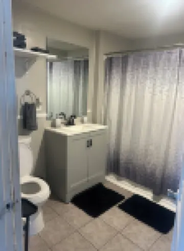 1 bed duplex near downtown Belleville next to heart garden and long story coffee