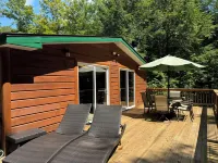 Waterfall View from Secluded 4 Bed Cabin in East Branch, NY with Mountain Views