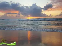 A real African bush experience with the perfect blend of home comforts. Hotels in Emangusi