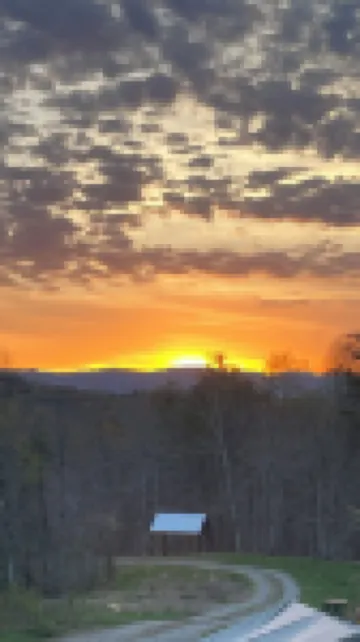 Cozy Mountain Yurt Retreat – in the Heart of Marshall, NC