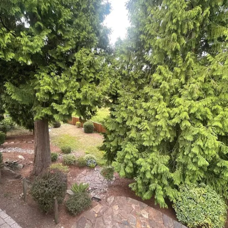 Cozy 3-bedroom 2.5 bath house in Kent near hospital and shopping centers