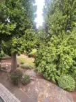 Cozy 3-bedroom 2.5 bath house in Kent near hospital and shopping centers
