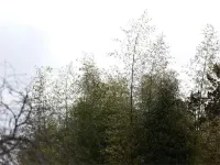 Guest House Tamaki Hotels in Tamba-Sasayama