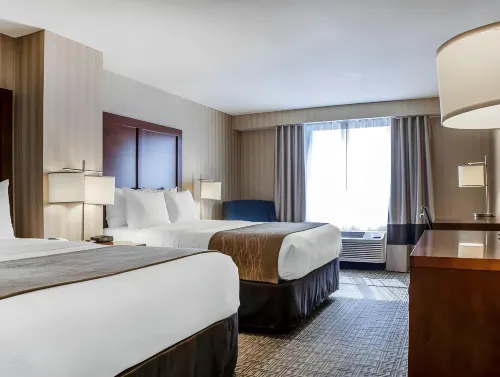 Comfort Inn & Suites Sturbridge-Brimfield