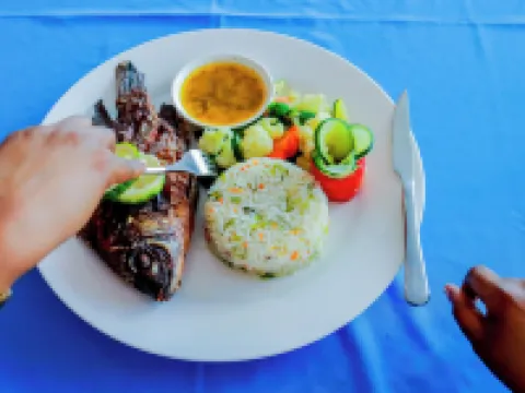 Parrot Hotel Arusha Hotels in Arusha