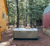 Cozy Cabin & Hot Tub Pet Friendly with AC and Fast WiFi in Duck Creek Village