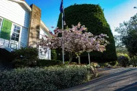 Bucket Tree Lodge Hotel a Porirua
