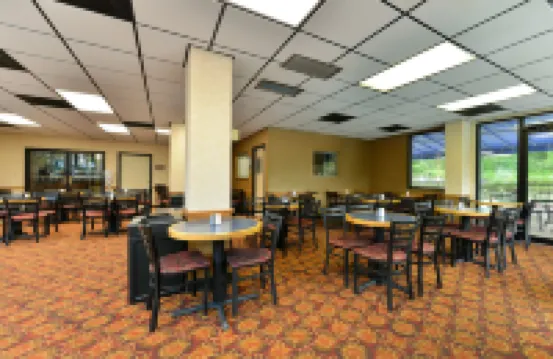 Comfort Inn & Suites Alexandria West