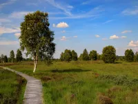 Farmhouse Stay in Ondenval - Wifi