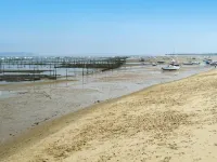 Country Home on Bay of Arcachon Hotels in Lanton