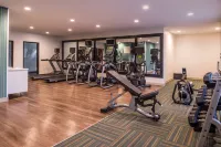 Holiday Inn Express & Suites ALBANY by IHG - Gym