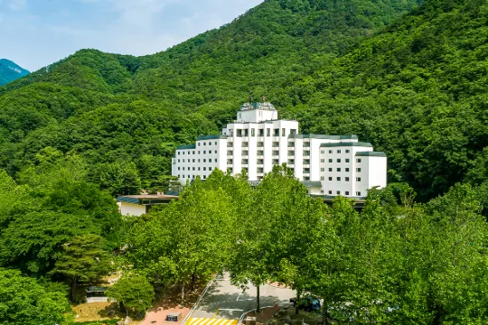 설악산 호텔 추천: 트립닷컴 켄싱턴호텔 설악 예약법