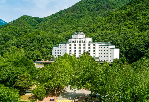 켄싱턴 인테리어