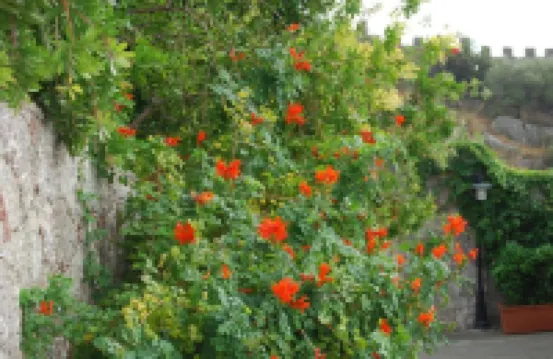 ヴィラ アンジェラ のホテル