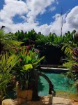 Arenal Palms Hot Springs - 2-Star