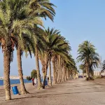 Luxurious 5 Bedroom Beachfront Villa in Roquetas de Mar