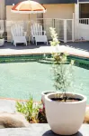 The Black Dolphin Holiday Park - en bord de mer
