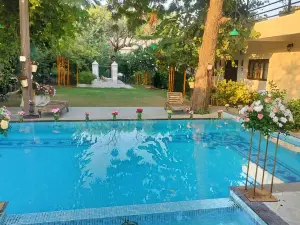 ツリー オブ ライフ ダルバーガド デード