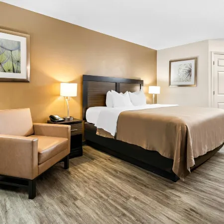 Quality Inn Decatur River City