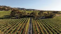 Seabrook Vineyard Retreat - Boutique