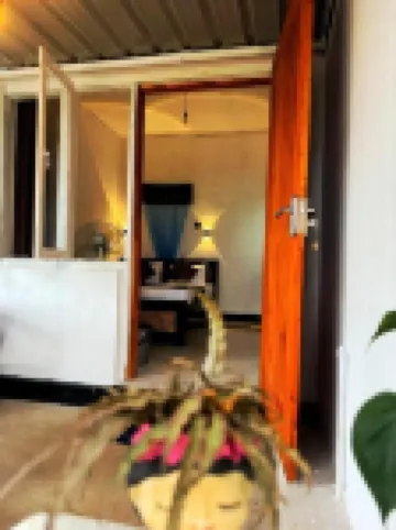 Fly Infinity - Home Stay Kandy