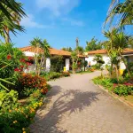 Fruit Village Patti Beach resort