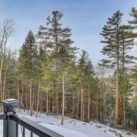Luxe Mountain Home w/ Chefs Kitchen & Okemo Views