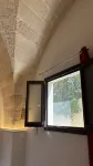 De Falconibus