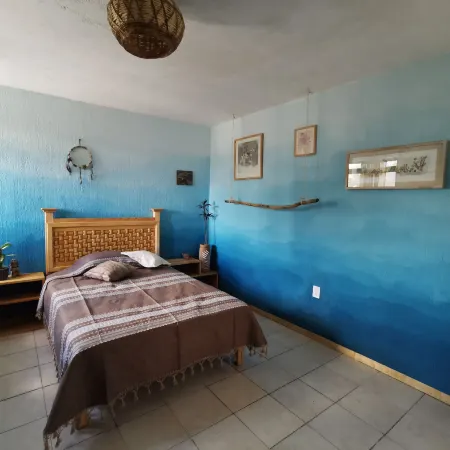 Casa del Árbol Hostel Xochimilco