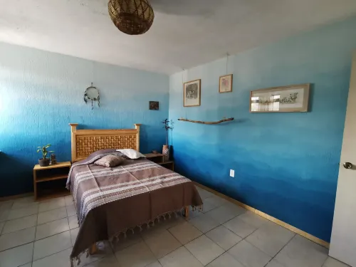 Casa del Árbol Hostel Xochimilco - balcon