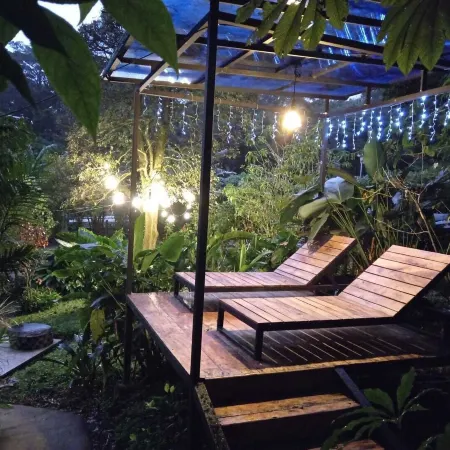 Jungle Living Tree Houses