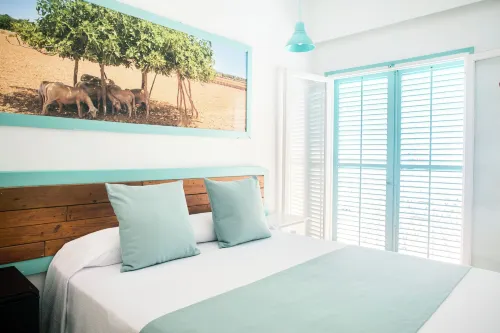 Hostal Sunset Ibiza - Cho phép mang theo thú cưng
