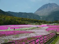 島原温泉 旅館海望荘 - 温泉