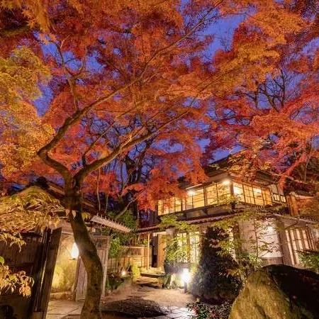 Akizuki Spa Ryokan Seiryuan