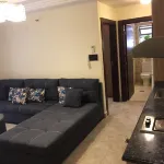 The Royal Luxury Apartments & Studios - Pet friendly