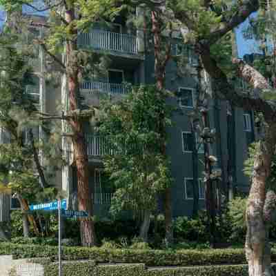 張伯倫西荷里活酒店 Hotel Exterior