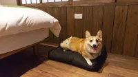 Sen Shichijo-Heian (Dog Friendly) - Pet friendly