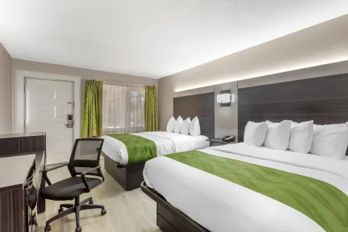Quality Inn Gainesville Near University - Wifi