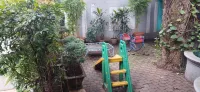 Ramee Panchshil - bar