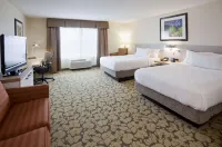 Hilton Garden Inn Minneapolis Eagan - 3-Star