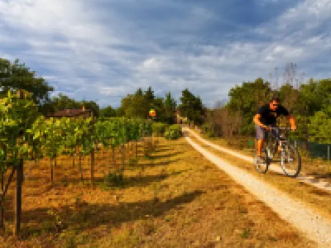 Villa Antico Podere Rota Hoteles en Sovicille