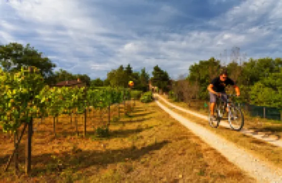 Villa Antico Podere Rota