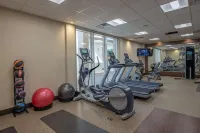 Hilton Garden Inn Dallas - at Hurst Conference Center - Gym