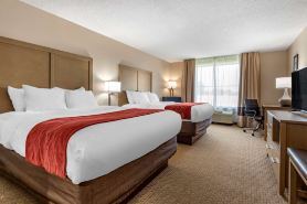 Comfort Inn & Suites Farmington - Victor