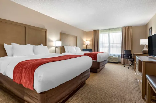 Comfort Inn & Suites Farmington - Victor