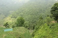 The Groove Garden Dhanolti